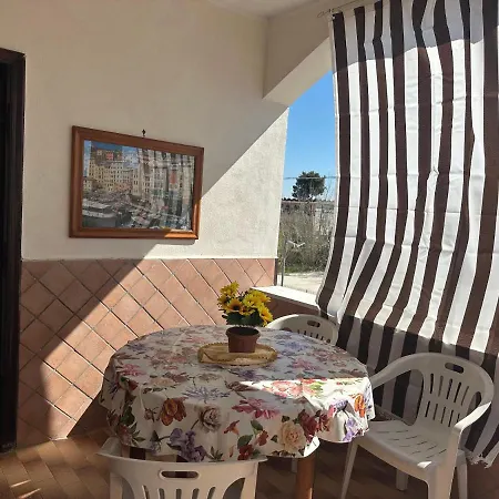 Open House Apartment *