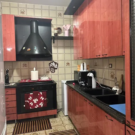 Open House Apartment